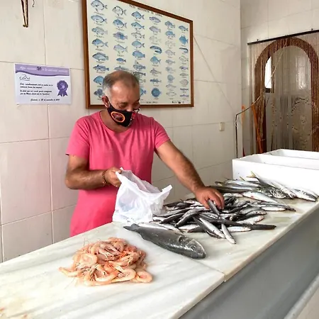 El Nido De Aguila Casares